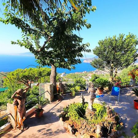 La Rosa Del Sud - De Vivo Realty Sorrento Apartman Kültér fotó