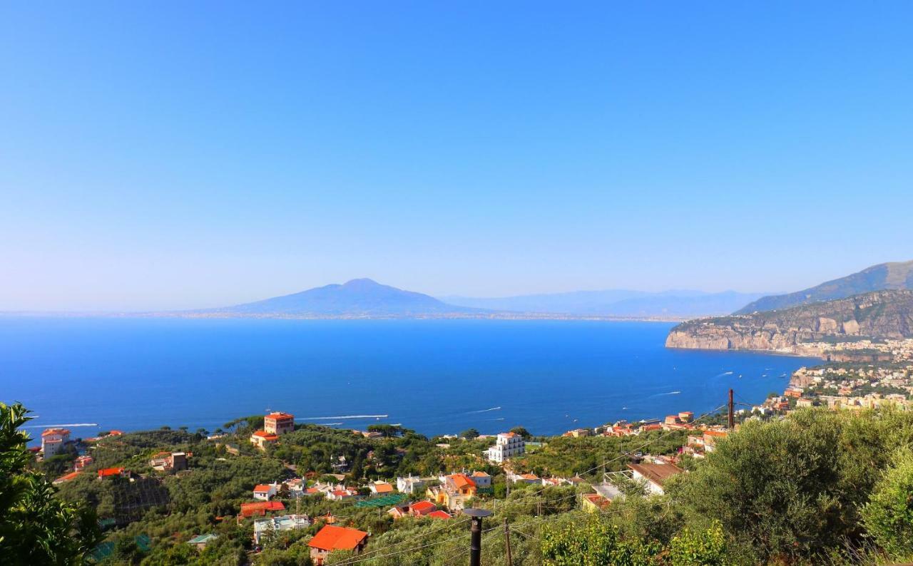 La Rosa Del Sud - De Vivo Realty Sorrento Apartman Kültér fotó