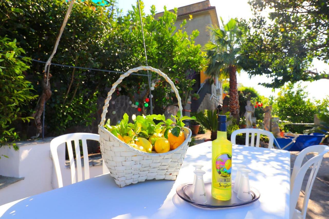 La Rosa Del Sud - De Vivo Realty Sorrento Apartman Kültér fotó