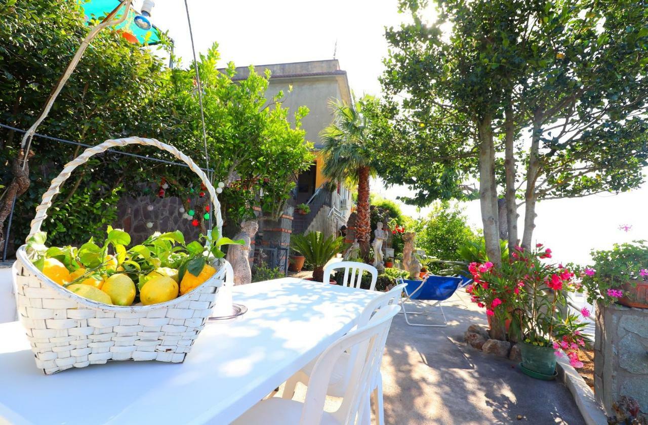 La Rosa Del Sud - De Vivo Realty Sorrento Apartman Kültér fotó