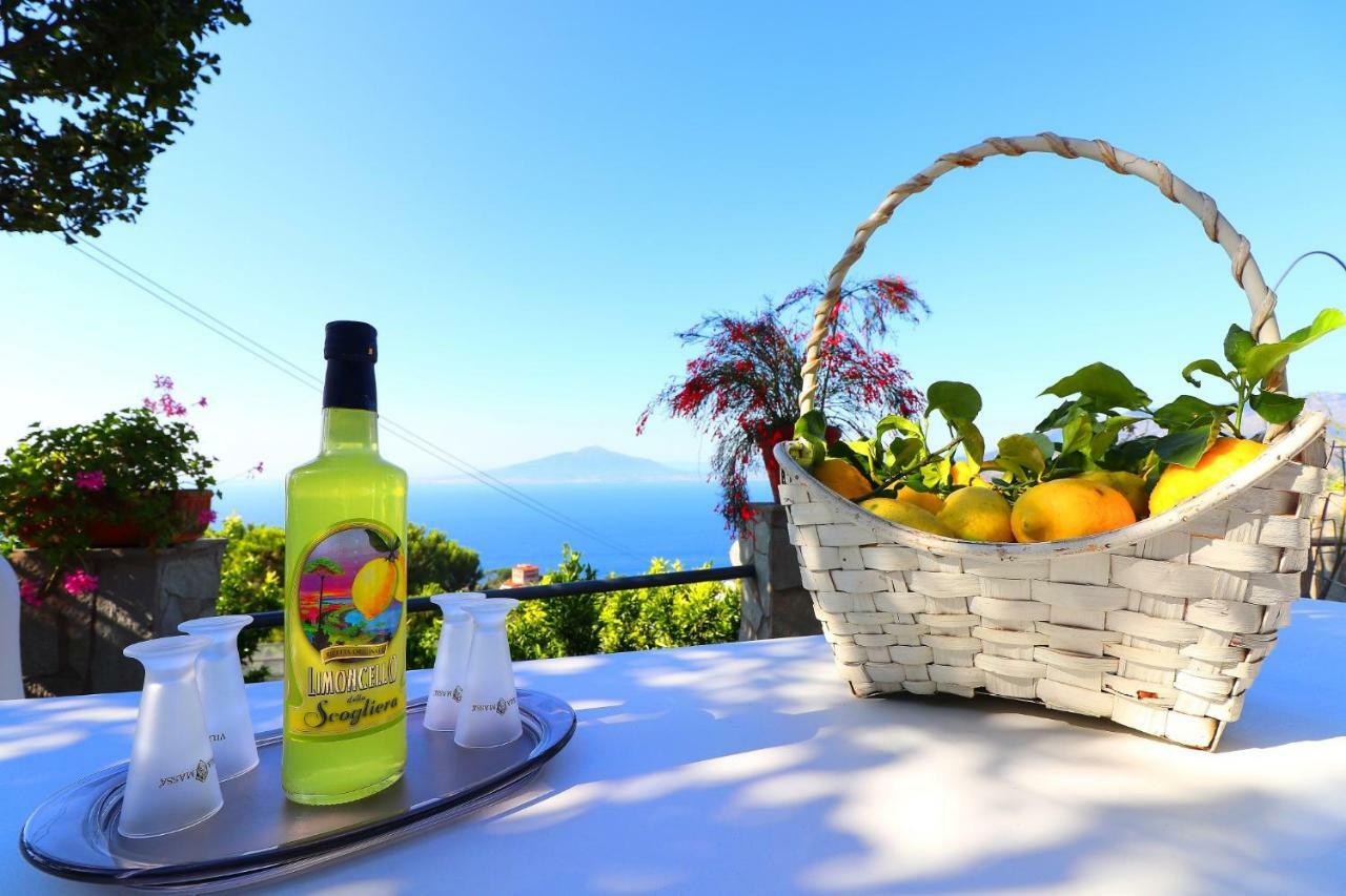 La Rosa Del Sud - De Vivo Realty Sorrento Apartman Kültér fotó